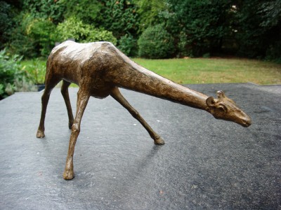 Girafa, Hans Grootswagers