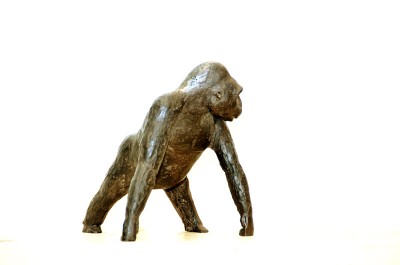 Gorilla, Hans Grootswagers